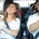 Uber driver surprises passengers with puppies! | VIDEO